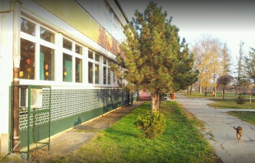 Horor ispred škole u Pančevu! Pas izujedao dete (7) u školskom dvorištu, "Higijena" nije našla kera