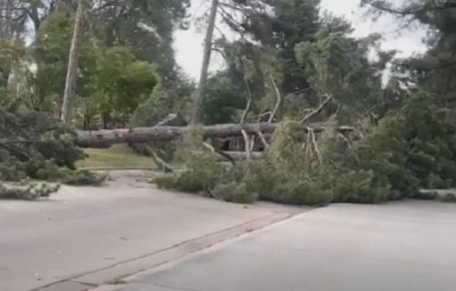 Kad se priroda naljuti na čoveka: Oluja čupala stabla i bacala ih na kola, ljudi i bez struje (VIDEO)