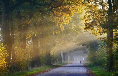 Spremite se, danas stiže PROMENA VREMENA: Meteorolozi objavili šta nas čeka u narednom periodu