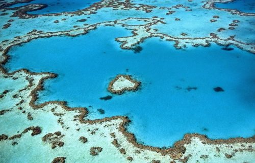 Ukrasi naše planete: Svetska čuda PRIRODE koja su REKORDERI po svojim dimenzijama (FOTO)