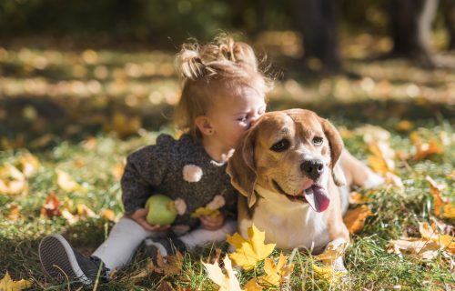 Najbolje rase pasa za porodice sa decom: Pet rasa koje svako dete obožava