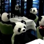 Originalno i efektno: Vlasnik restorana pokazao na sjajan način šta misli o novim merama (FOTO)