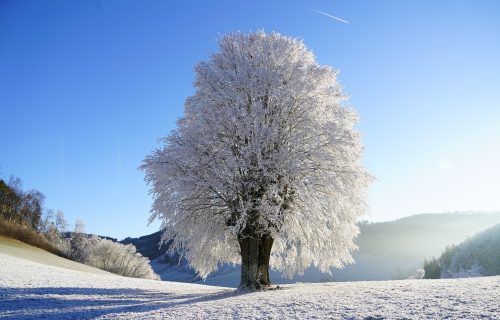 Hladni front stiže u Srbiju: Temperatura će pasti za 15 stepeni, a biće i snežnih pahulja