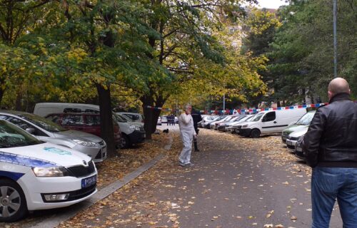 Ovako je Vedran preživeo prvu sačekušu: Ubijeni sin bivšeg igrača Zvezde policiji priznao jezive zločine