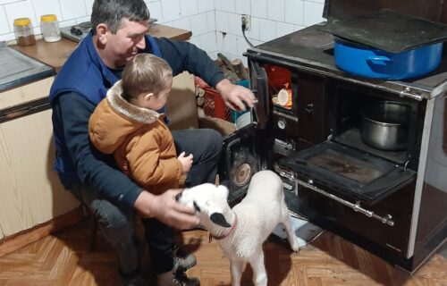 Srpska porodica tradicionalno neguje Božićne običaje: Muja im je najsrećniji položajnik (FOTO)