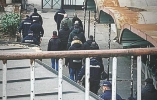 Novo PRIVOĐENJE na stadionu Partizana: Nekoliko Grobara u pratnji policije odvedena iz Humske (FOTO)