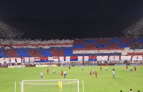 Hrvat napravio nezapamćen skandal: Uleteo na teren i pred 50.000 ljudi ubio nedužnu životinju!