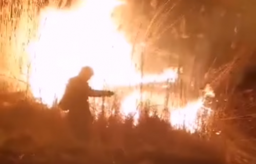 VELIKI POŽAR u Vojvodini: Vatrogasci se bore sa vatrenom stihijom kod Žitišta