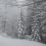 Srpski meteorolog najavio SNEG za sutra i veliki pad temperature: Evo do kada će trajati zahlađenje