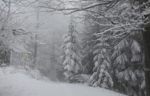 SRPSKI METEOROLOG OTKRIO: Evo da li će biti snega u novembru i kakva nas zima očekuje