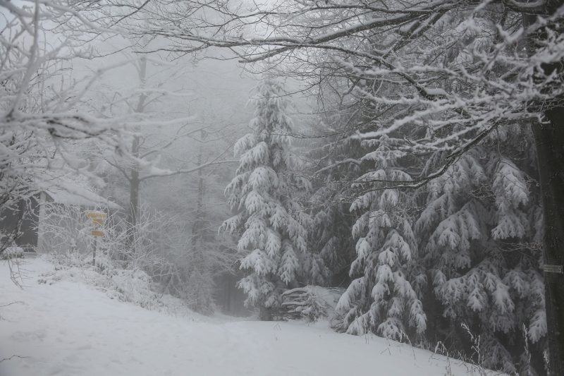 Srpski meteorolog najavio SNEG za sutra i veliki pad temperature: Evo do kada će trajati zahlađenje