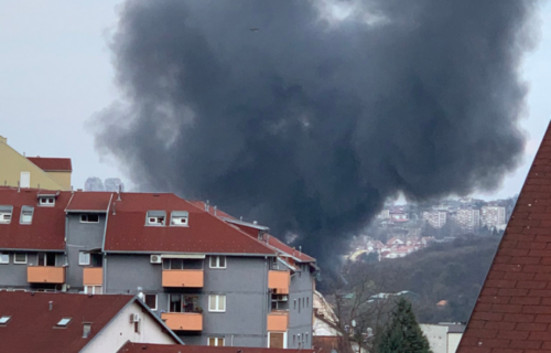 Veliki požar pored šoping mola: Gori magacin u Rakovici (FOTO)