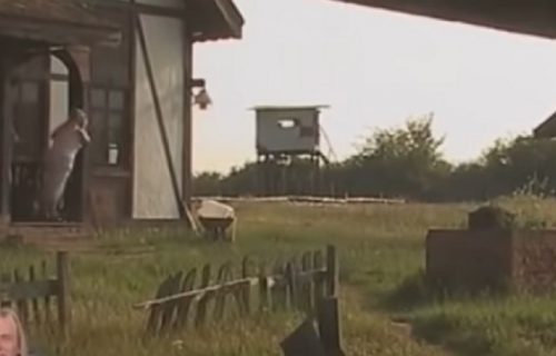 Farma u Lisovićima se RASPADA pet godina nakon završetka rijalitija: Puna VLAGE, glodara, sve memljivo