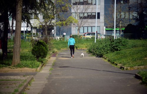 Snežana šetala psa pa čula: "Baba, jesi jaknu kupila kod Kineza?" - onda je shvatila da je BESPOMOĆNA