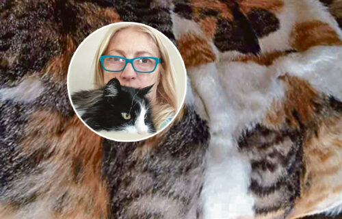 Gaje mačke, deru ih ŽIVE, pa od njih prave ĆEBAD: Monstruozan hobi otkriven u selu blizu Beograda (FOTO)