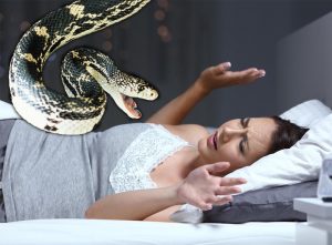 šta znači sanjati zmije