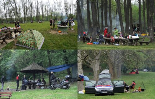 Ovako je izgledao PRVOMAJSKI URANAK: Beograđani uživaju u prirodi uz roštilj i muziku (FOTO)