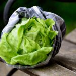 Za sve ljubitelje zelene salate: Uz ovih 6 trikova će postati neizostavan deo obroka