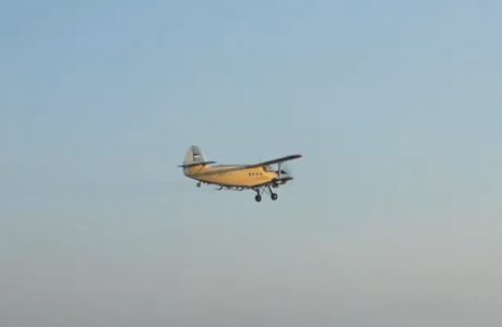 Danas i sutra akcije suzbijanja komaraca i krpelja i danas širom Beograda