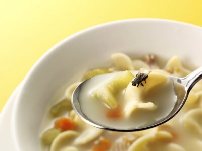 Stručnjaci objašnjavaju: Šta se ZAISTA dešava kada vam muva sleti na hranu i koliko je to OPASNO?