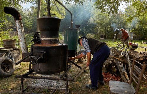 SRPSKA ŠLJIVOVICA na Uneskovoj listi nematerijalnog kulturnog nasleđa čovečanstva