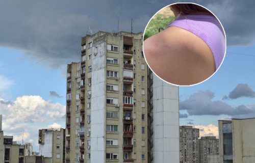 Vrane TERORIŠU Beograđane: Povredile devojku, a dan ranije i njenu sestru - ovo je posebno ČUDNO (FOTO)