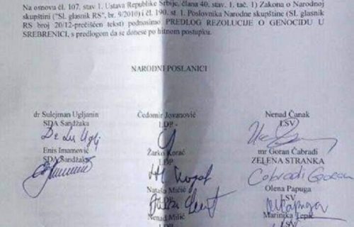 BRUKA! Ovako je Đilasova Marinika Tepić zahtevala da se Srbi osude za GENOCID u Srebrenici (FOTO+VIDEO)