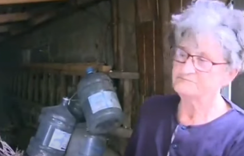 Penzionerka iz Čačka ima neobičan posao: Dvorište joj je puno životinja, a jedno JAJE KOŠTA 100 dinara