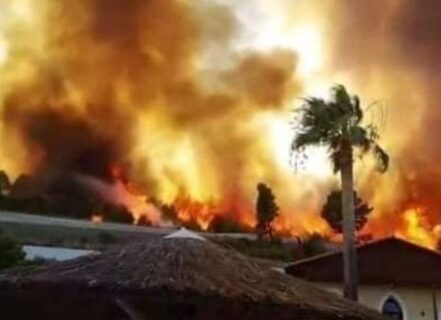 POŽARI u Grčkoj van kontrole! Vatrena stihija bukti, jedna stvar dodatno pogoršava situaciju (FOTO+VIDEO)