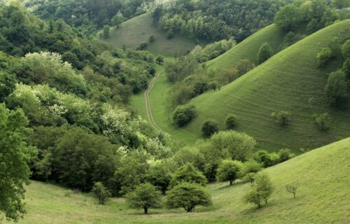 Pravo osveženje za turiste: NEVEROVATNE prirodne atrakcije u Srbiji koje morate da posetite (FOTO)