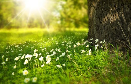 Klimatolog objašnjava kako smo dobili gratis leto i kada će žednoj zemlji stići kiša i sneg