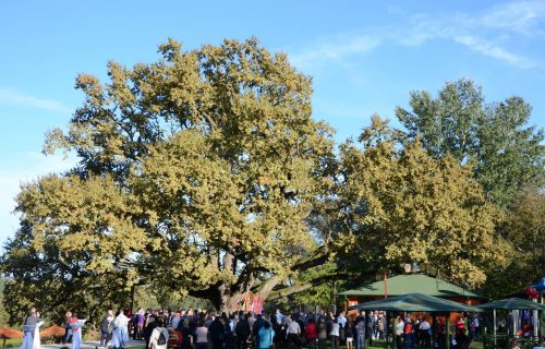 Bogata turistička ponuda Jagodine: Ova mesta morate da posetite (FOTO)