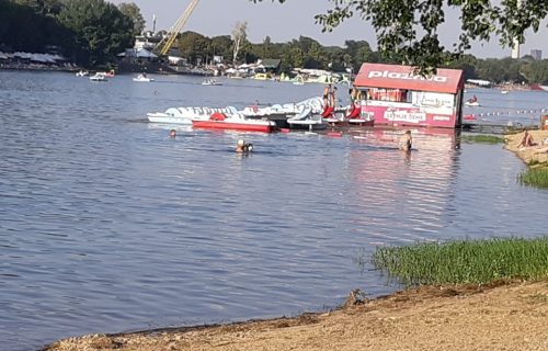 Panika na Adi Ciganliji: Ljigava masa prekrila drveće, izgleda odvratno (FOTO)