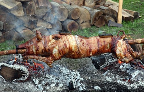 Valjevčaninu "pobeglo" prase NA RAŽNJU: Pojavio se hit OGLAS, nudi nagradu onom ko ga nađe (FOTO)