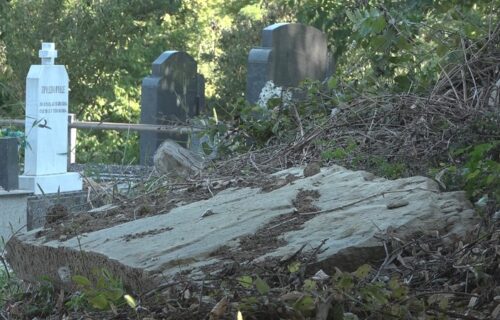 JEZIV PRIZOR na groblju u selu Jezdina kod Čačka: Kada je Mišo video ovo, odmah je zvao sve rođake (FOTO)