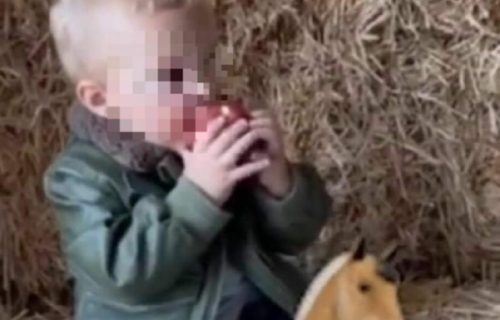 Ceca pokazala da njen unuk živi kao i sva druga deca: Okružen KONJIMA radio OVO i sve raznežio (FOTO)