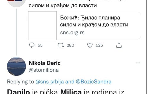 Ponovo osvanule GNUSNE UVREDE za Vučićevu decu: Đilas i Marinika nastavljaju svoj sumanuti plan (FOTO)