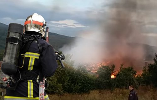 Poznato da li ima POVREĐENIH u požaru u Pirotu: Vatrogasci SPREČILI širenje vatrene stihije (VIDEO)