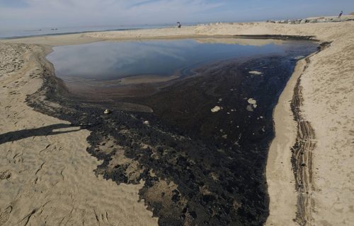 Ekološka KATASTROFA u Kaliforniji: Veliko izlivanje NAFTE izazvalo masovni pomor ribe (FOTO)