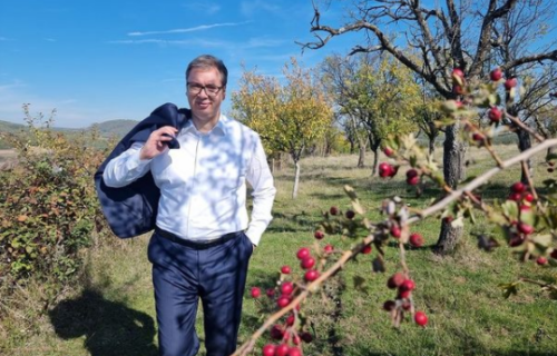Lepota Srbije ostaće VEČNA: Predsednik Vučić podelio fotografije iz Šumadije (FOTO)