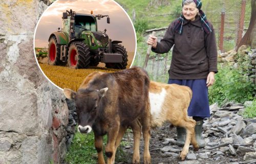 Domaćica iz Futoga MUKU muči s mužem: Kad god siđe s TRAKTORA radi istu stvar - "ne može mi takav u kuću"