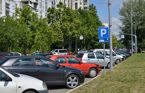 Ovo će pamtiti do kraja ŽIVOTA: Beograđanin parkirao auto - usledio prizor koji je sve RAZLJUTIO (FOTO)