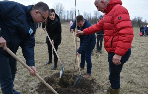 Ministarka Vujović u Srbobranu: Sadimo za buduće generacije (FOTO)