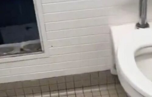 Učenik ugledao skrivenu sobu iza zida školskog toaleta: Kad je zavirio unutra, svi su ostali u šoku