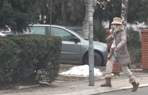 Lepa Brena SASVIM neprepoznatljiva: Maskirala se od glave do pete, kamere sve zabeležile (FOTO)