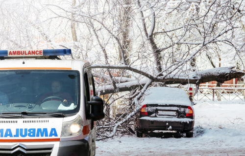 "Sreća da je palo preko gepeka": IZVUČEN mladić iz vozila koje je smrskalo drvo na Novom Beogradu