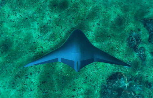 Manta-Ray vreba u DUBINAMA: Amerikanci razvijaju dron za specijalne zadatke (VIDEO)