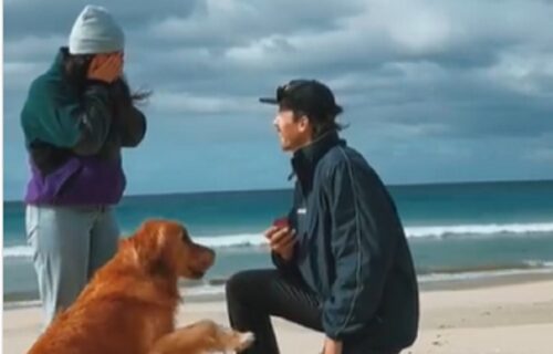 Momak zaprosio devojku, a reakcija njegovog PSA na plaži nateraće vam suze (VIDEO)