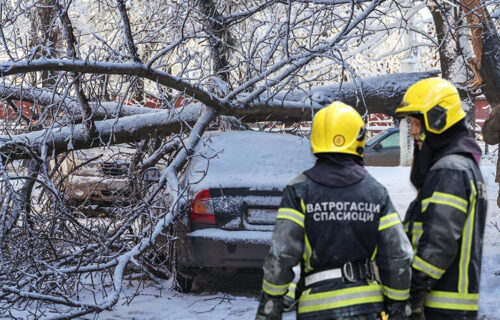 Drvo PALO na automobil na Novom Beogradu: Najmanje jedna osoba ZAGLAVLJENA, vatrogasci na terenu