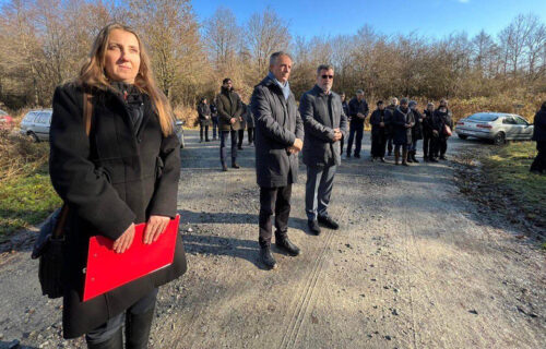 Pupovac na komemoraciji svim žrtvama u Jeminovcu: “O ubijenim Srbima kraj Požege i dalje se ćuti"